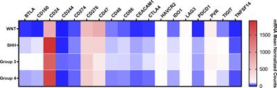 Digital expression profile of immune checkpoint genes in medulloblastomas identifies CD24 and CD276 as putative immunotherapy targets